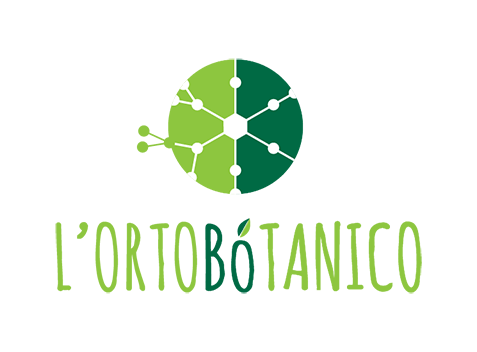 Orto_Logo